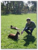 Simon versucht sich mit den Känguruhs anzufreunden